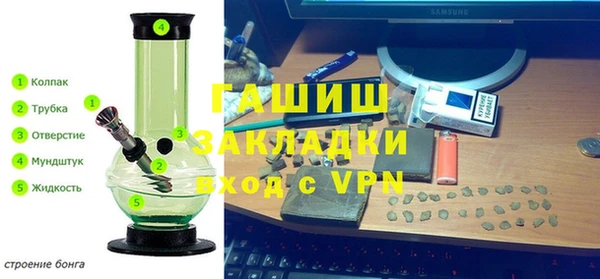 прущие грибы Гусев