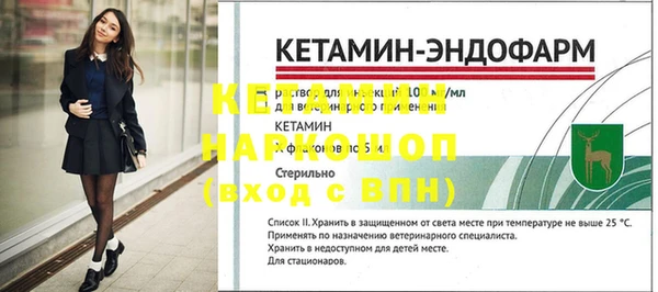 прущие грибы Гусев