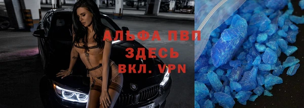 прущие грибы Гусев