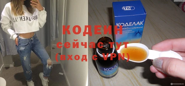 прущие грибы Гусев