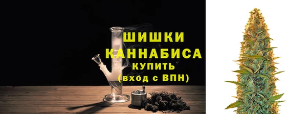 прущие грибы Гусев