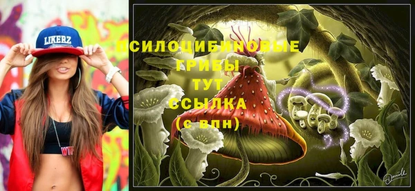 стафф Гусь-Хрустальный