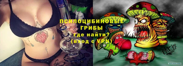 стафф Гусь-Хрустальный