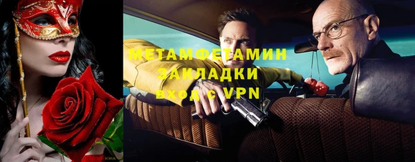 прущие грибы Гусев