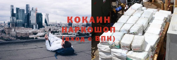 прущие грибы Гусев