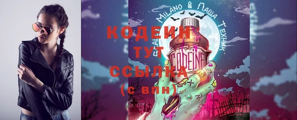 прущие грибы Гусев