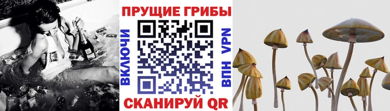 Галлюциногенные грибы Magic Shrooms  Купить где  Лесосибирск 